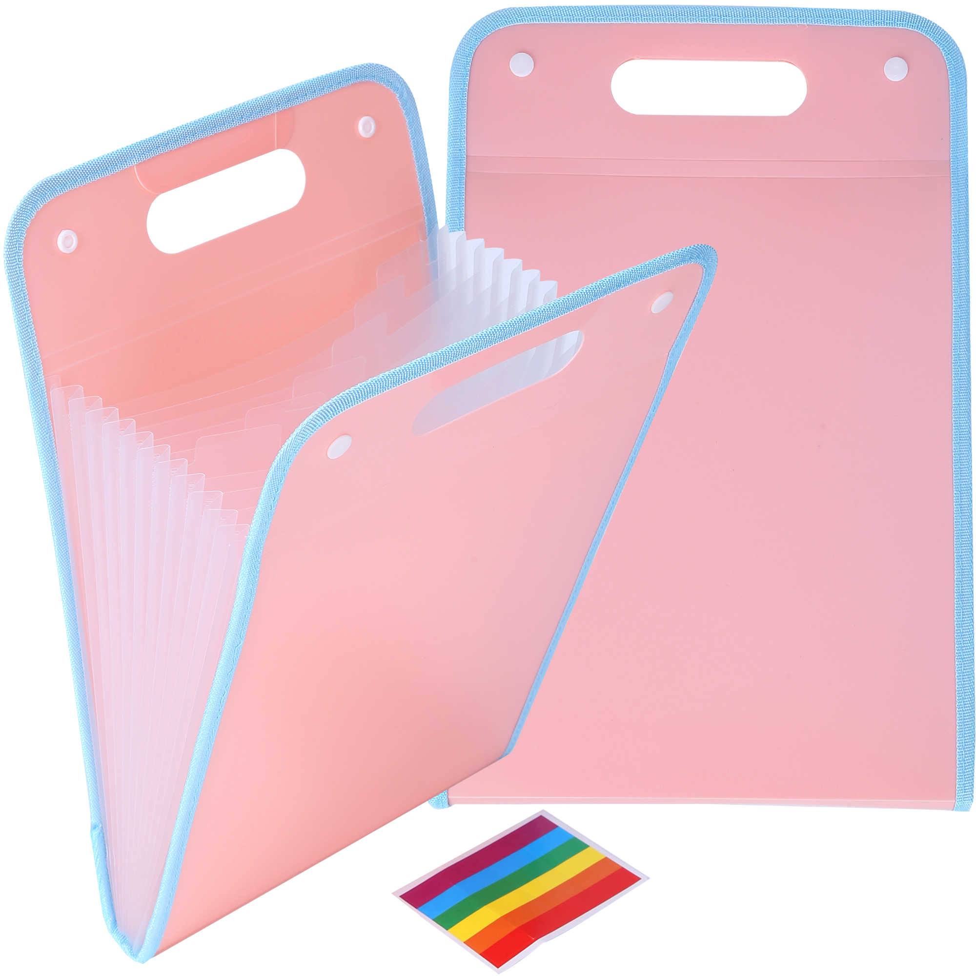 LANKIN Portable Vertical Expanding Accordion Folder with 13 Pockets