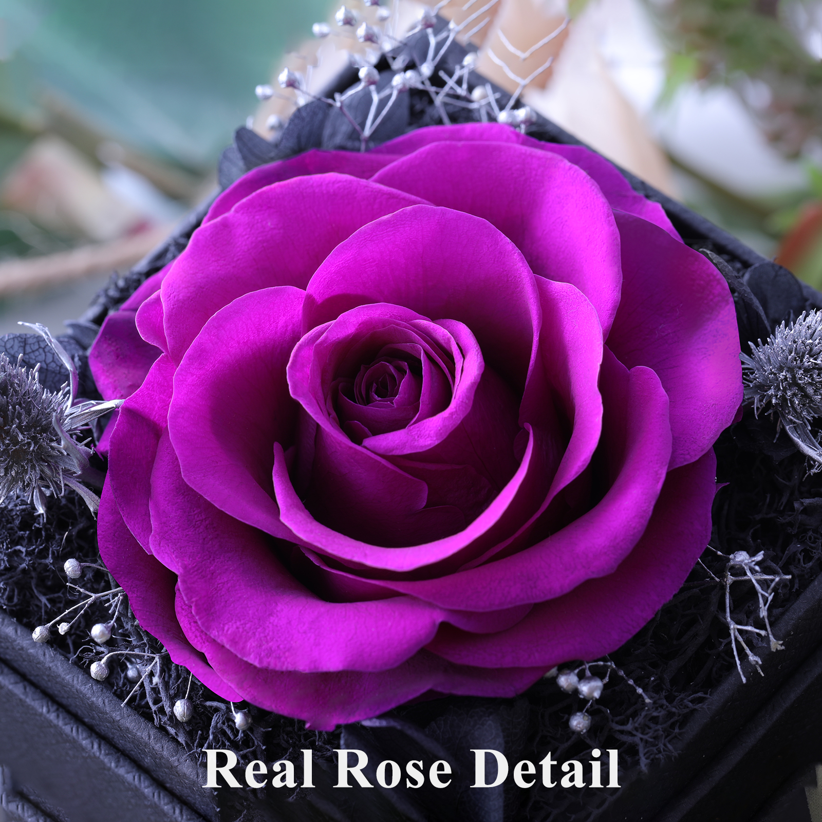 S SIVERY Mothers Day Rose Gifts for Mom Wife Women Preserved Natural